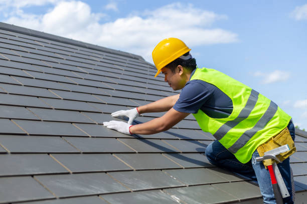 Best Roof Gutter Cleaning  in Elma, WA